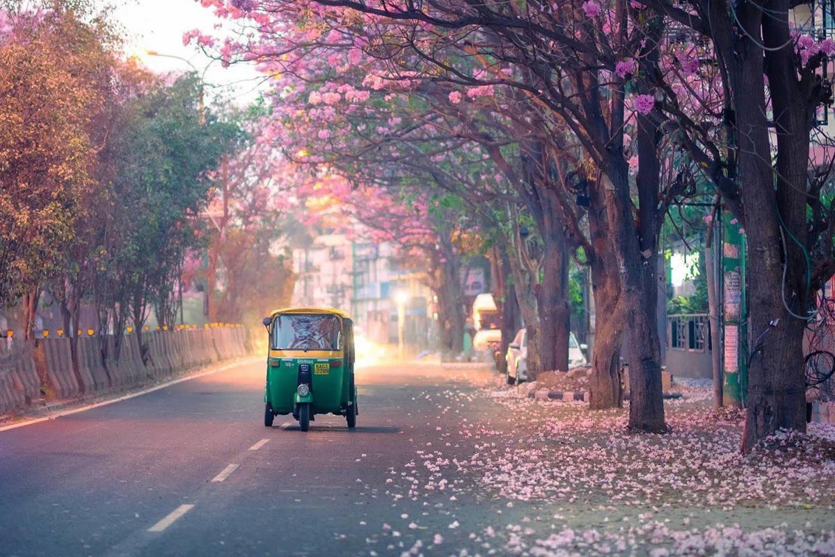 colors-of-india-travel-photography-featured